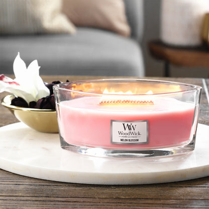 Melon Blossom Ellipse Candle