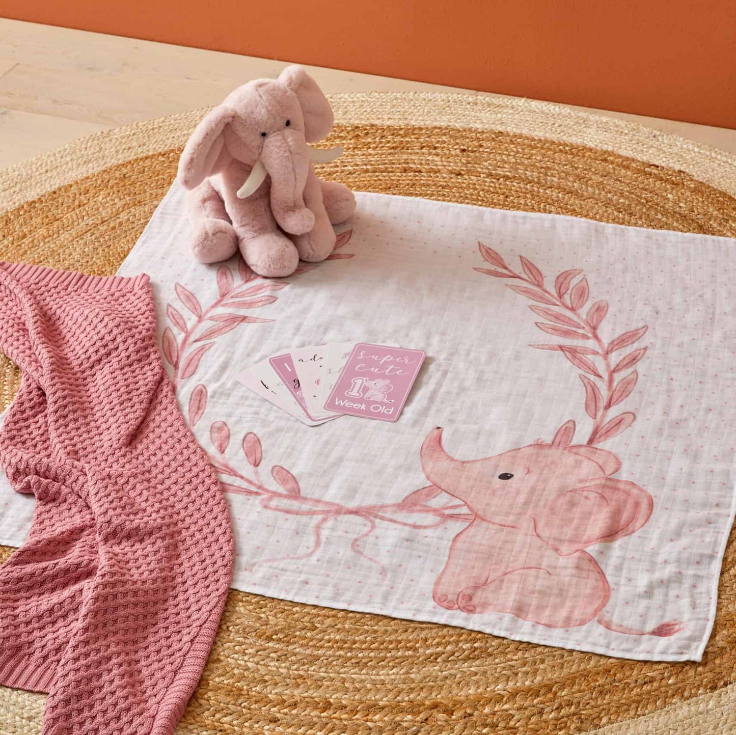 Baby Milestone Set - Pink Elephant
