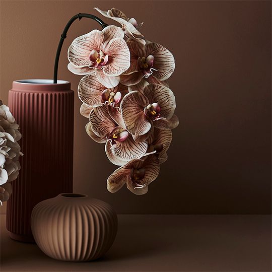 Taza Vase