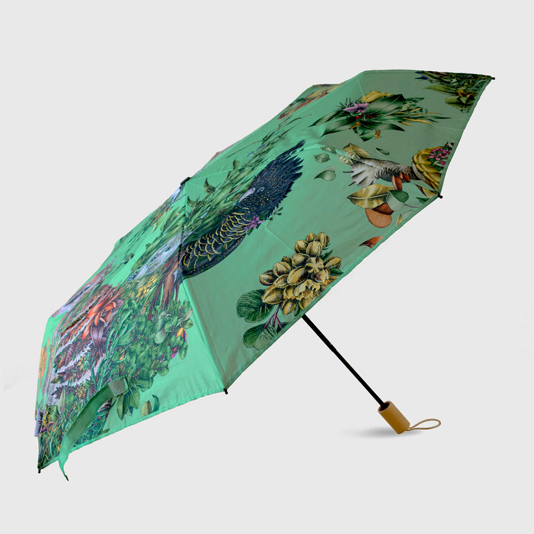 Umbrella - Numbat