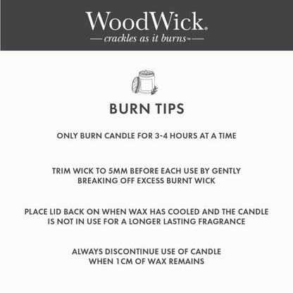 Wild Berry & Beets Medium Candle